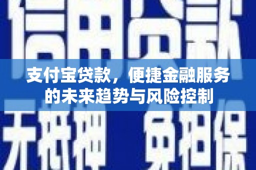 湖里支付宝贷款，便捷金融服务的未来趋势与风险控制