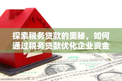 湖里探索税务贷款的奥秘，如何通过税务贷款优化企业资金流