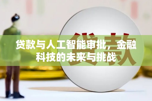 湖里贷款与人工智能审批，金融科技的未来与挑战