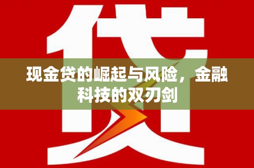 湖里现金贷的崛起与风险，金融科技的双刃剑