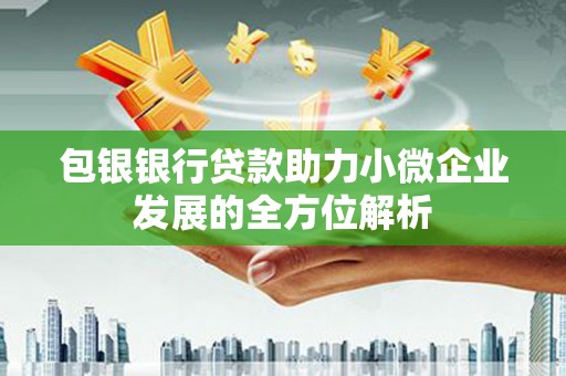 湖里包银银行贷款助力小微企业发展的全方位解析