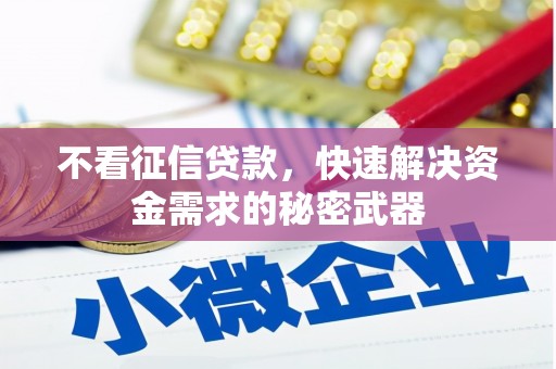 湖里不看征信贷款，快速解决资金需求的秘密武器