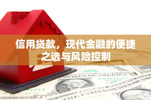 湖里信用贷款，现代金融的便捷之选与风险控制