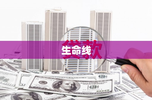 湖里生命线
