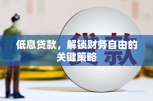 湖里低息贷款，解锁财务自由的关键策略
