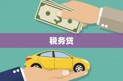 湖里税务贷
