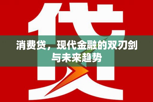 湖里消费贷，现代金融的双刃剑与未来趋势
