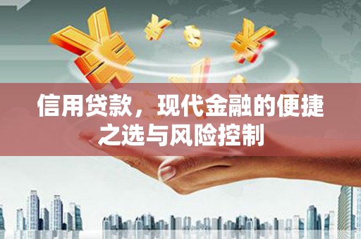湖里信用贷款，现代金融的便捷之选与风险控制