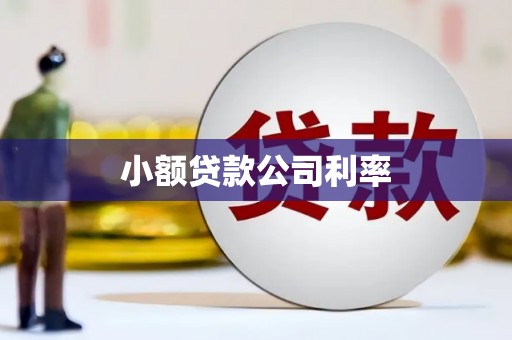 湖里小额贷款公司利率