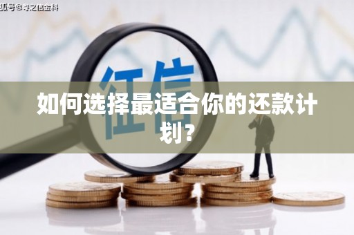 湖里如何选择最适合你的还款计划？