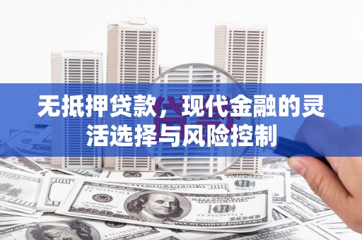 湖里无抵押贷款，现代金融的灵活选择与风险控制