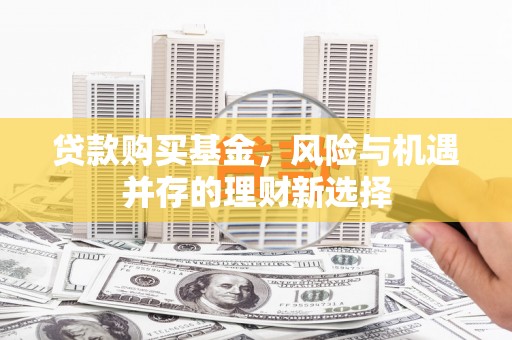 湖里贷款购买基金，风险与机遇并存的理财新选择