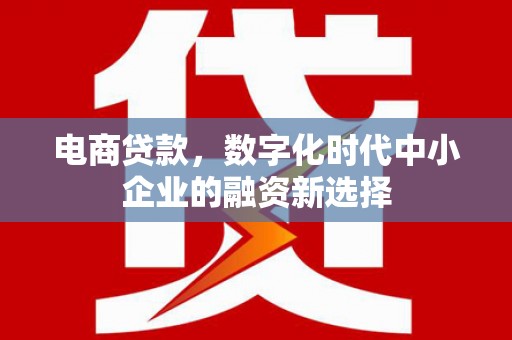 湖里电商贷款，数字化时代中小企业的融资新选择