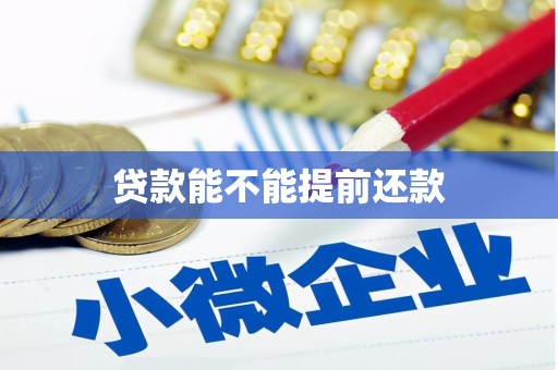 湖里贷款能不能提前还款