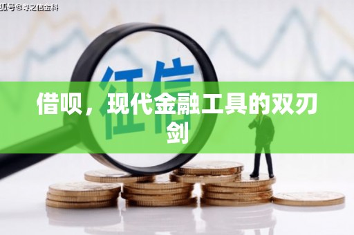 湖里借呗，现代金融工具的双刃剑