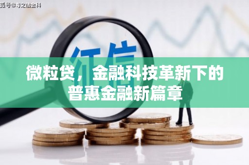 湖里微粒贷，金融科技革新下的普惠金融新篇章