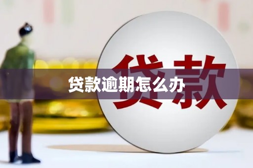 湖里贷款逾期怎么办