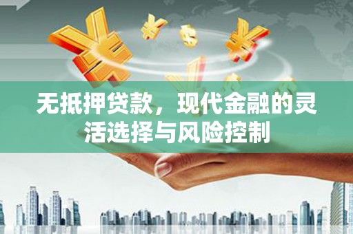 湖里无抵押贷款，现代金融的灵活选择与风险控制