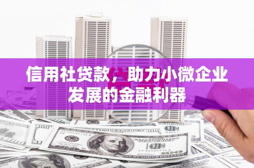 湖里信用社贷款，助力小微企业发展的金融利器