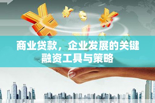 湖里商业贷款，企业发展的关键融资工具与策略