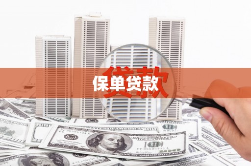 湖里保单贷款