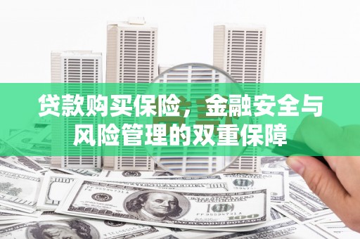 湖里贷款购买保险，金融安全与风险管理的双重保障