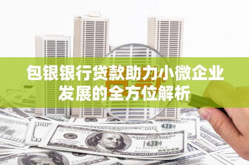 湖里包银银行贷款助力小微企业发展的全方位解析