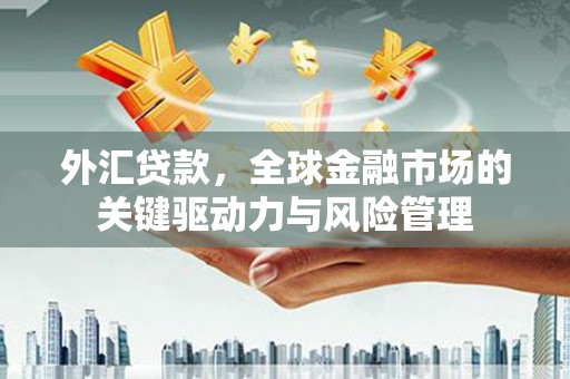 湖里外汇贷款，全球金融市场的关键驱动力与风险管理