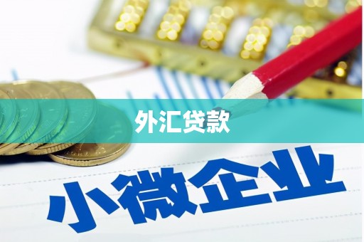 湖里外汇贷款