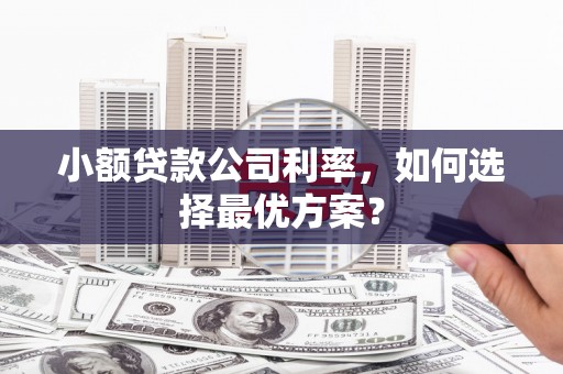 湖里小额贷款公司利率，如何选择最优方案？