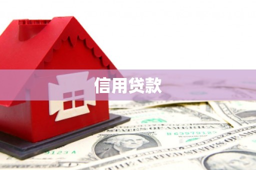 湖里信用贷款