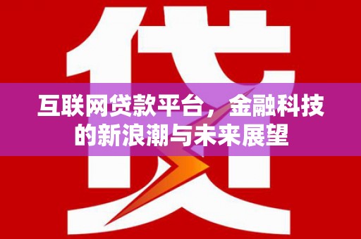 湖里互联网贷款平台，金融科技的新浪潮与未来展望