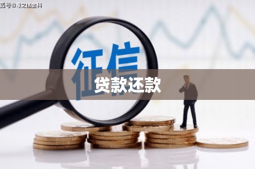 湖里贷款还款