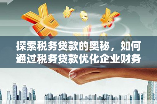 湖里探索税务贷款的奥秘，如何通过税务贷款优化企业财务