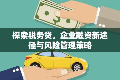 湖里探索税务贷，企业融资新途径与风险管理策略