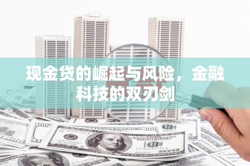 湖里现金贷的崛起与风险，金融科技的双刃剑