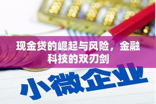 湖里现金贷的崛起与风险，金融科技的双刃剑