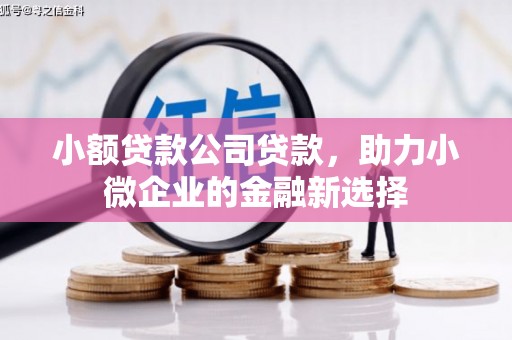 湖里小额贷款公司贷款，助力小微企业的金融新选择