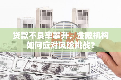 湖里贷款不良率攀升，金融机构如何应对风险挑战？