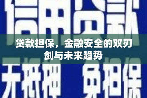 湖里贷款担保，金融安全的双刃剑与未来趋势