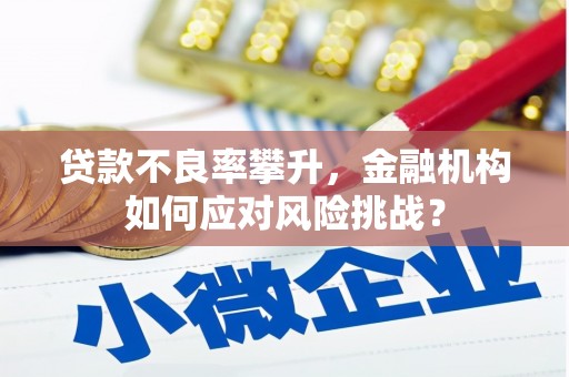 湖里贷款不良率攀升，金融机构如何应对风险挑战？
