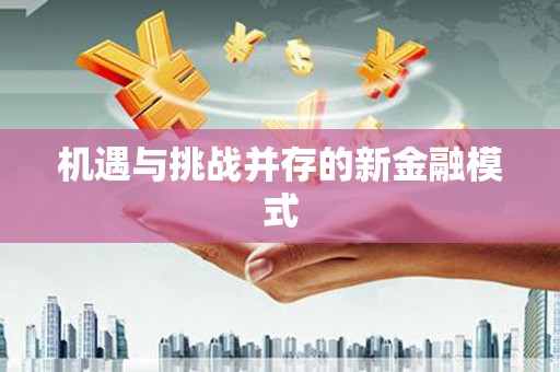 湖里机遇与挑战并存的新金融模式
