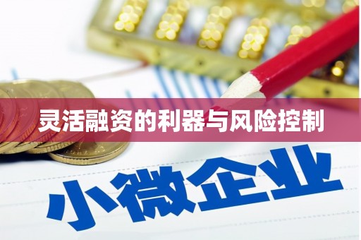 湖里灵活融资的利器与风险控制