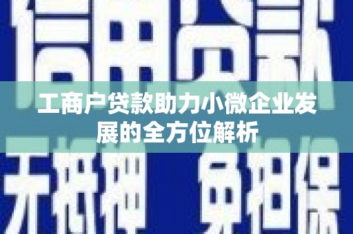 湖里工商户贷款助力小微企业发展的全方位解析