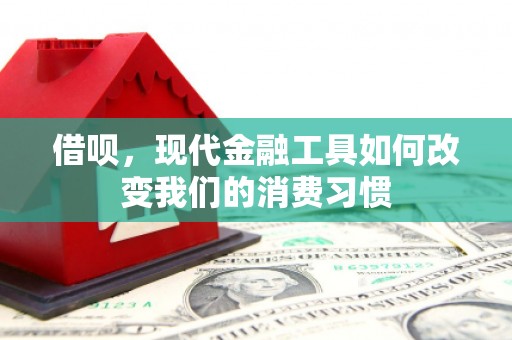 湖里借呗，现代金融工具如何改变我们的消费习惯