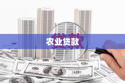湖里农业贷款