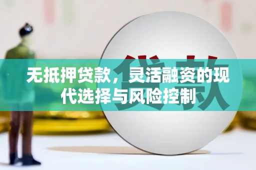 湖里无抵押贷款，灵活融资的现代选择与风险控制