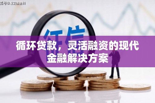 湖里循环贷款，灵活融资的现代金融解决方案
