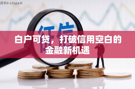 湖里白户可贷，打破信用空白的金融新机遇