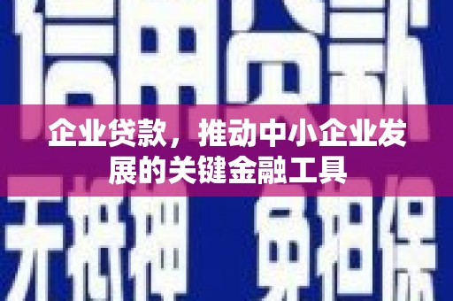 湖里企业贷款，推动中小企业发展的关键金融工具